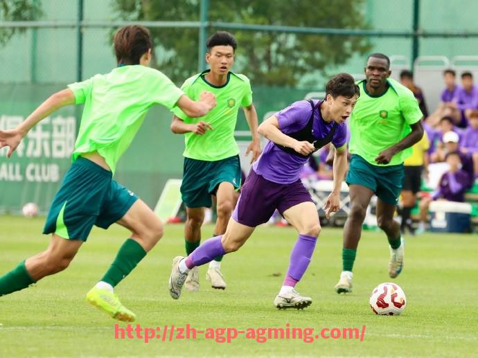 AG娱乐登录-偃旗息鼓的意甲球队队员现状及发展前景